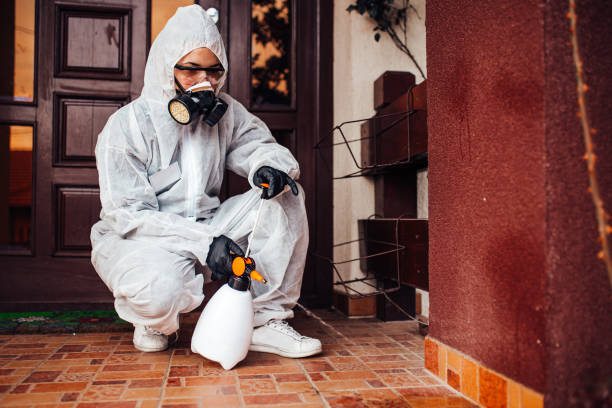 Reliable Ant Control contractor in Ottumwa, IA by Nex Pest Control