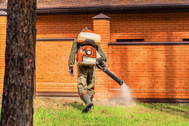 Trusted Termite Control service in Ottumwa, IA - Nex Pest Control